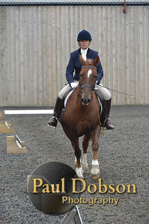 dressage-5434