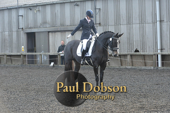 dressage-7306