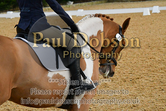 pc0_2921