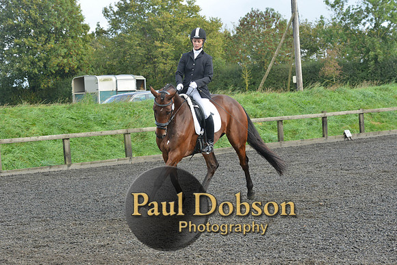 dressage-6906