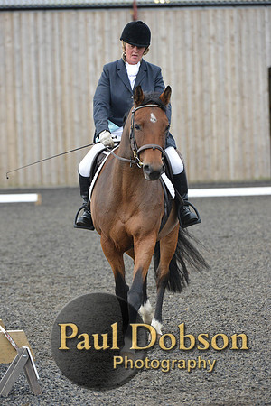 dressage-4123