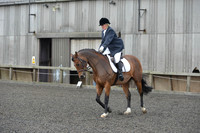 dressage-4112