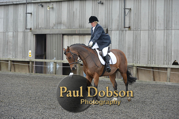 dressage-4112