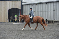 dressage-5424