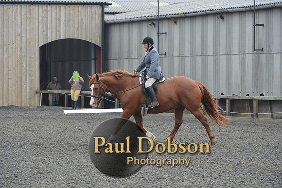 dressage-5424