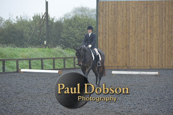 dressage-6614
