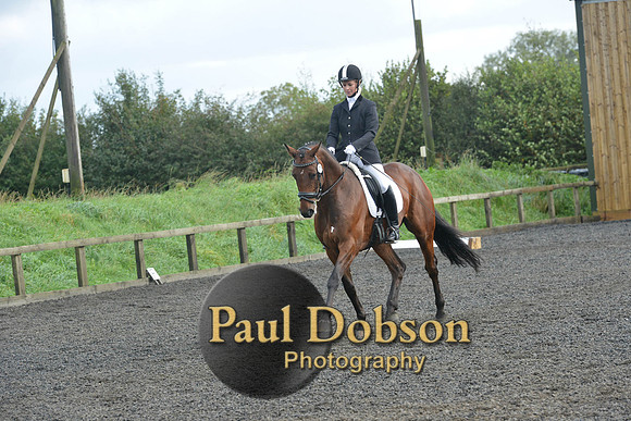 dressage-6902