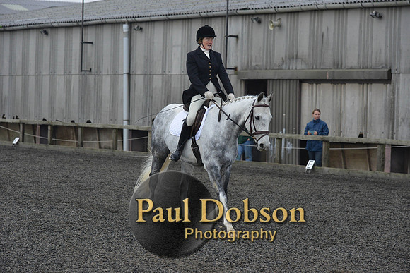 dressage-4533