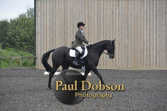 dressage-5208