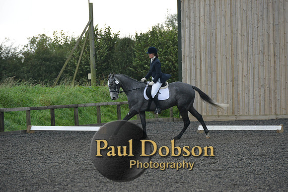 dressage-4120