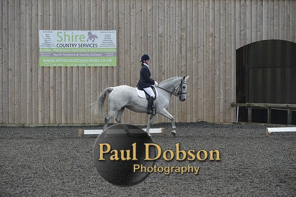 dressage-5720