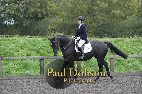dressage-5910