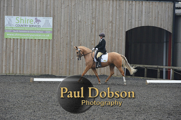 dressage-5761