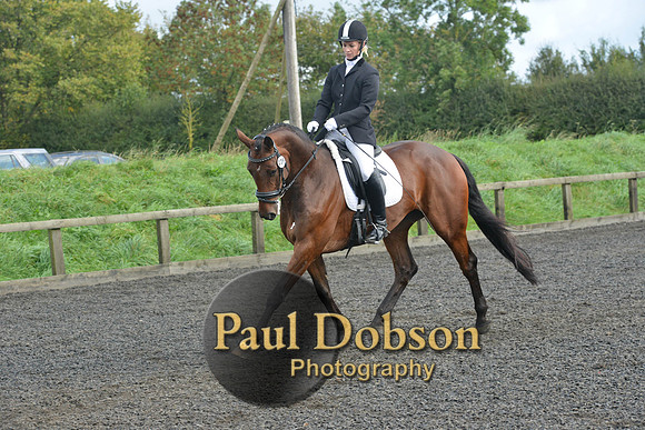dressage-6905