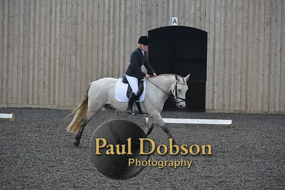 dressage-4546