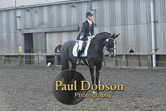 dressage-7308