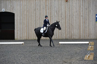 dressage-5902