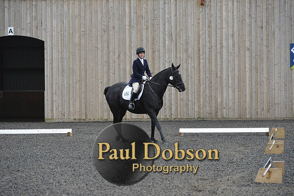dressage-5902