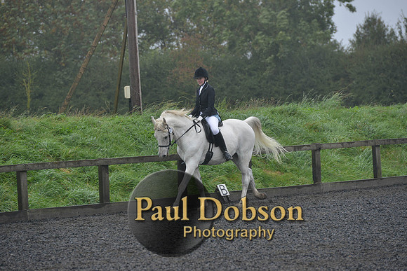 dressage-6498