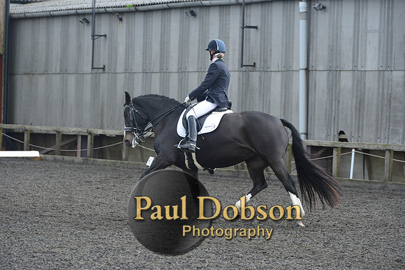 dressage-7270
