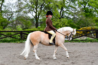 Class 34-M and M Junior Ridden