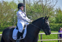 Dressage-14.00 - 15.00