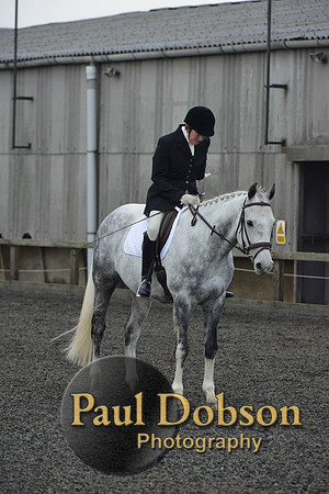 dressage-4573