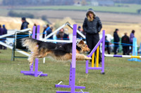 Class 93 Medium Agility Comb