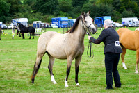 c_936094c