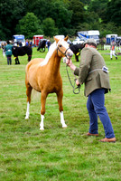 c_936091c