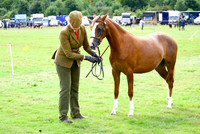 Class 93 Sect B-2 or 3yr old