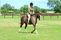 BSPS-7967