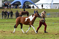 cih_3796c