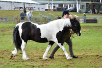 cih_3793c