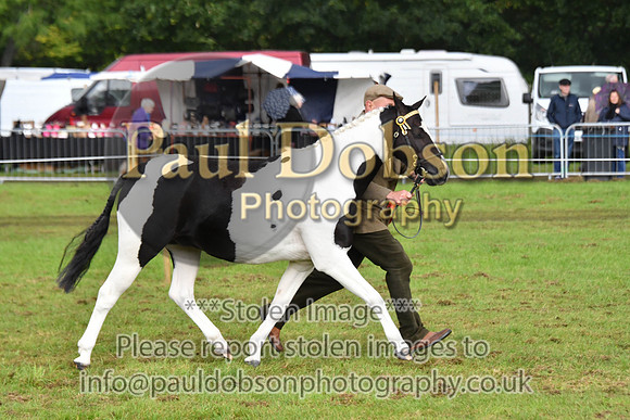 cih_3812c