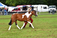 cih_3802c