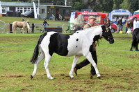 cih_3791c