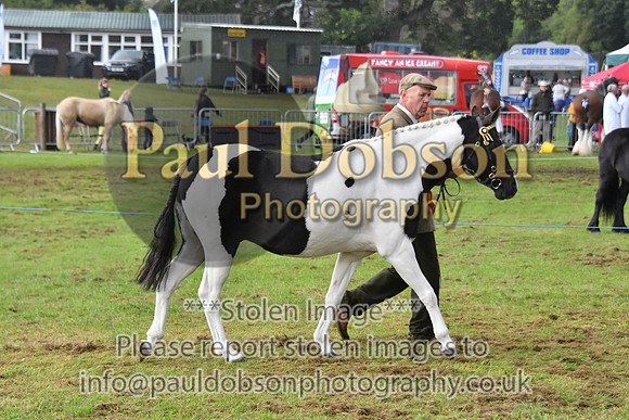 cih_3791c