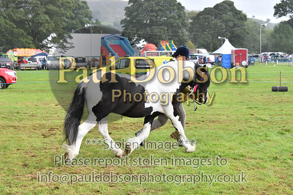 cih_3869c