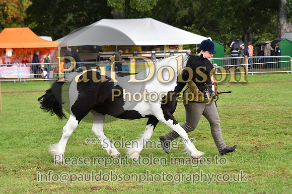 cih_3821c