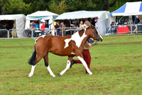 cih_3800c