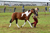 cih_3798c
