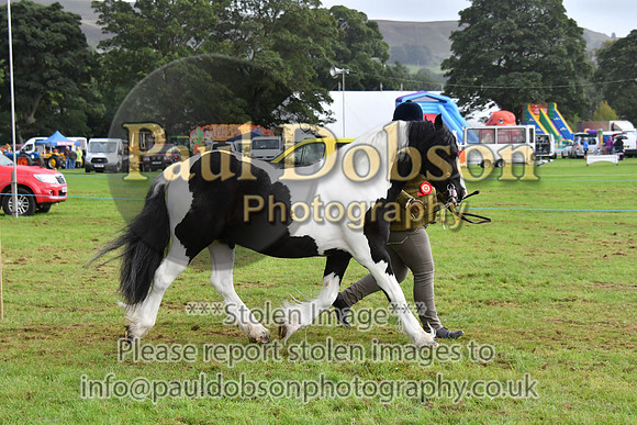 cih_3827c