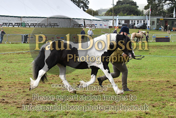 cih_3819c