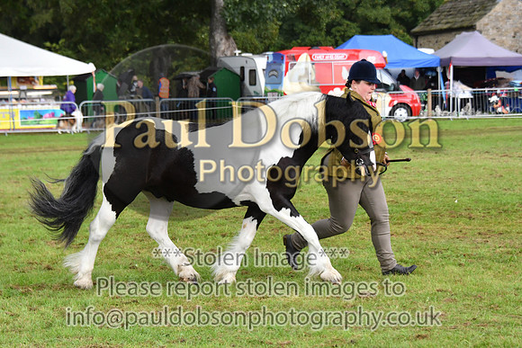cih_3822c