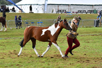 cih_3797c