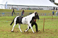 cih_3807c