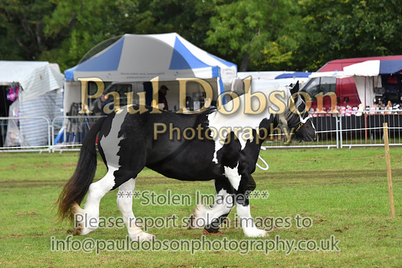 cih_3831c
