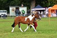 cih_3804c