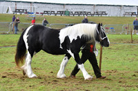 cih_3794c
